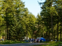 IJ3_8901